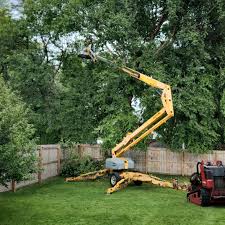 Best Tree Disease Treatment  in Lincoln Village, OH