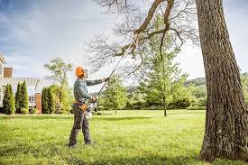 Lawn Watering Services in Lincoln Village, OH
