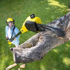 Best Commercial Tree Services  in Lincoln Village, OH