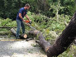 Best Utility Line Clearance  in Lincoln Village, OH
