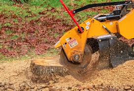 Best Lawn Maintenance Plans  in Lincoln Village, OH